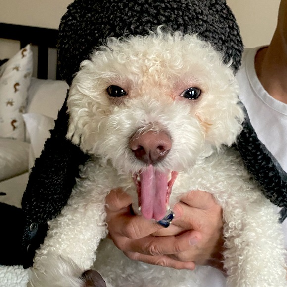 Meet Your Posher, Erin! - Picture 1 of 1